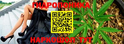 apvp Краснознаменск