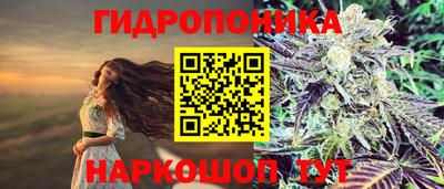 apvp Краснознаменск
